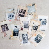 Vintage Background Paper - Common Room PH