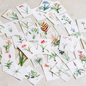Vintage Mini-cards: Nature Series - Common Room PH