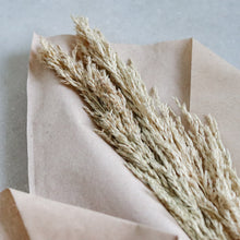 Load image into Gallery viewer, Dried Flower | Grain, Wheat, Misty - Common Room PH
