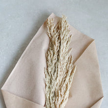 Load image into Gallery viewer, Dried Flower | Grain, Wheat, Misty - Common Room PH
