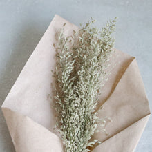 Load image into Gallery viewer, Dried Flower | Grain, Wheat, Misty - Common Room PH
