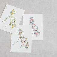 Let Hope Bloom Postcards - Common Room PH