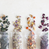 Potpourri - Common Room PH