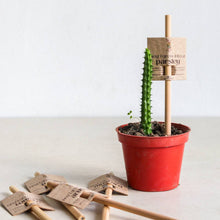 Load image into Gallery viewer, Little Big Help Seed Pencils - Common Room PH
