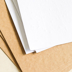 Plantable Paper Sheets - Common Room PH