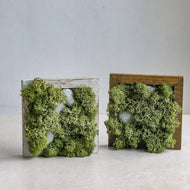 Habil Moss Frame - Common Room PH